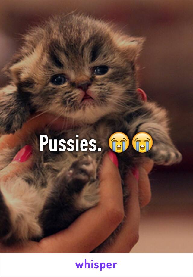 Pussies. 😭😭