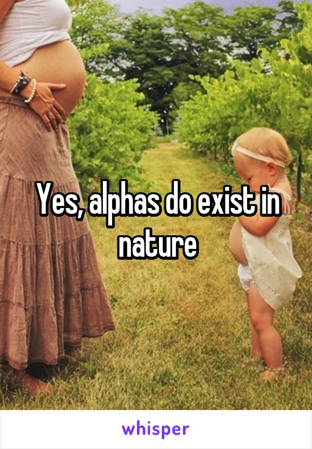Yes, alphas do exist in nature