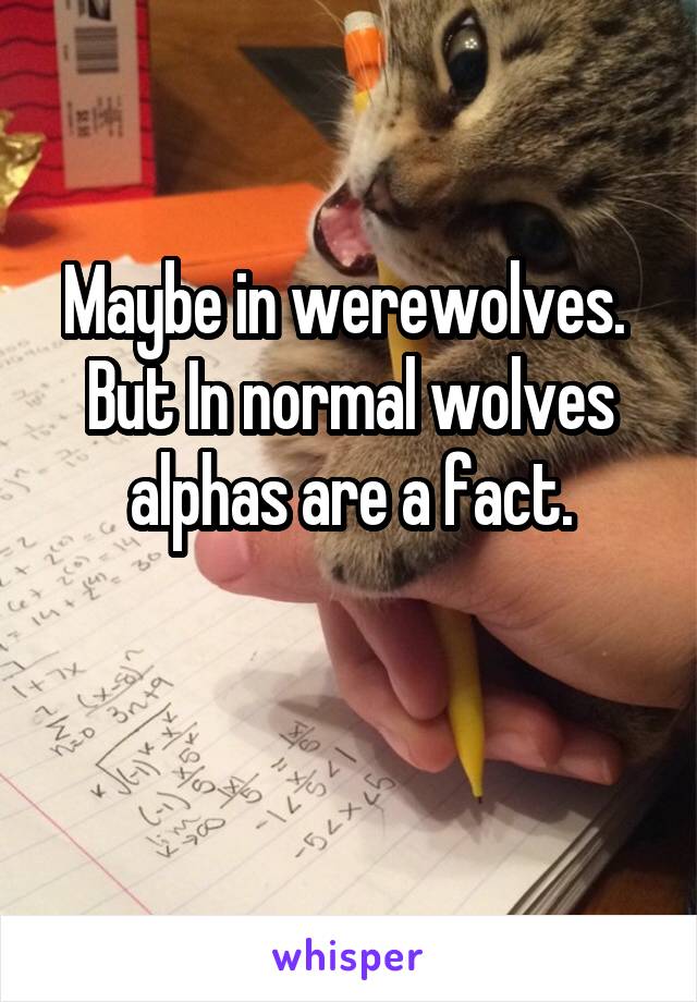 Maybe in werewolves. 
But In normal wolves alphas are a fact.


