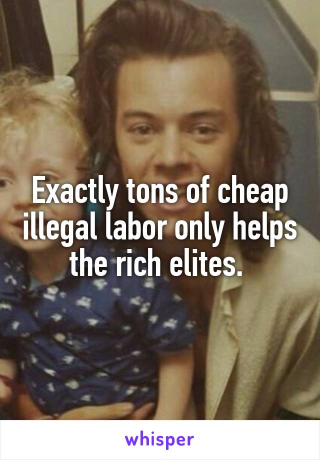 Exactly tons of cheap illegal labor only helps the rich elites. 