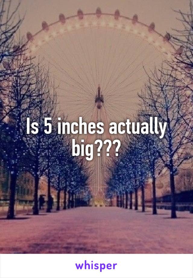 Is 5 inches actually big???