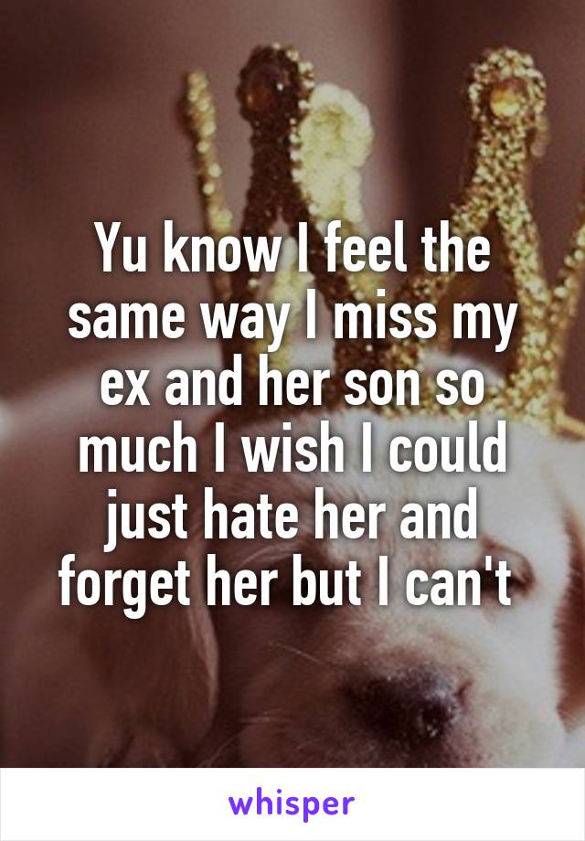 Yu know I feel the same way I miss my ex and her son so much I wish I could just hate her and forget her but I can't 