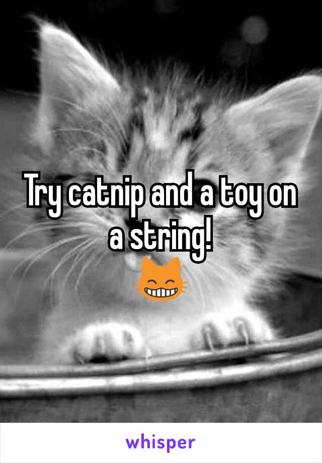 Try catnip and a toy on a string!
😸