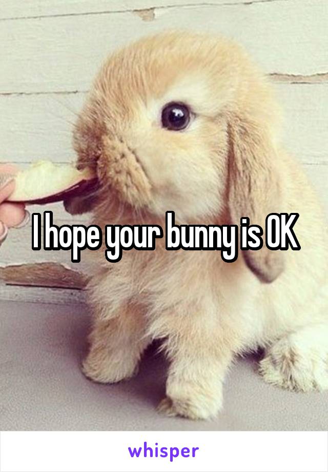 I hope your bunny is OK