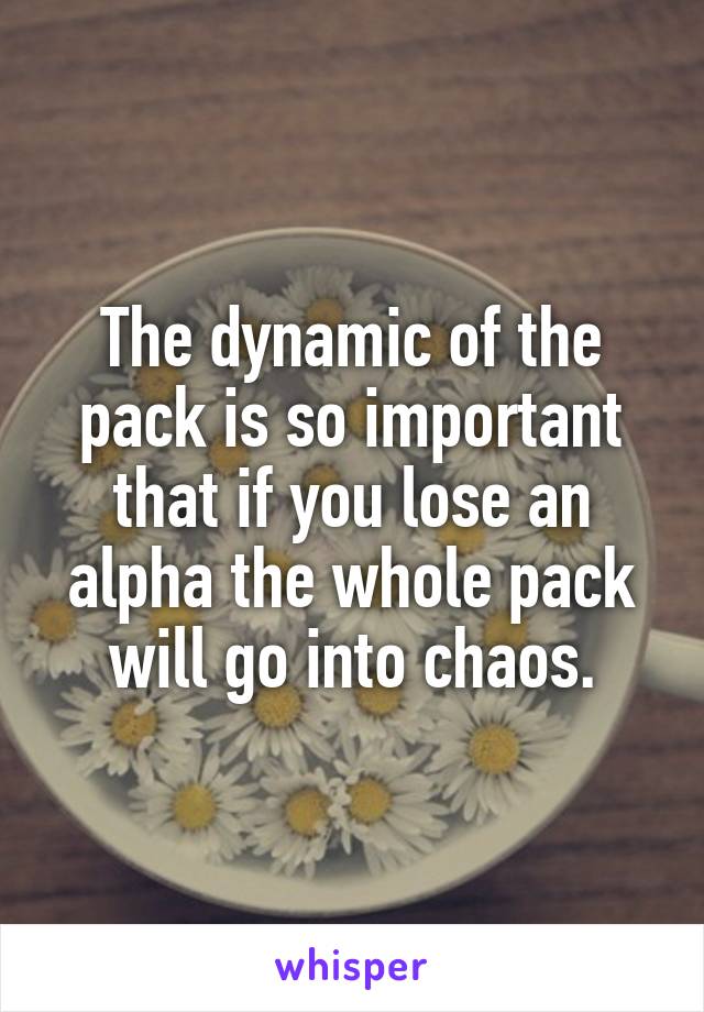 The dynamic of the pack is so important that if you lose an alpha the whole pack will go into chaos.