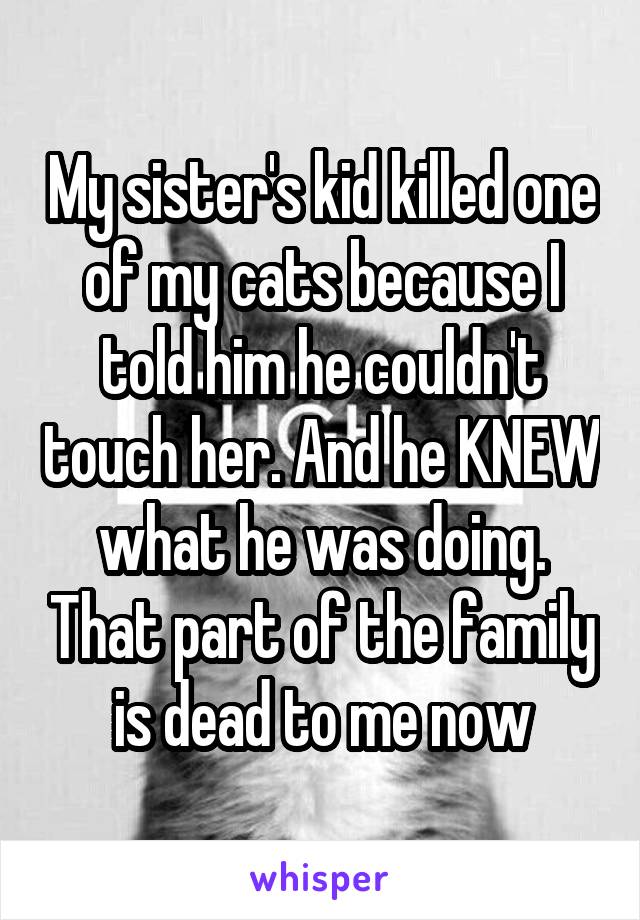My sister's kid killed one of my cats because I told him he couldn't touch her. And he KNEW what he was doing. That part of the family is dead to me now