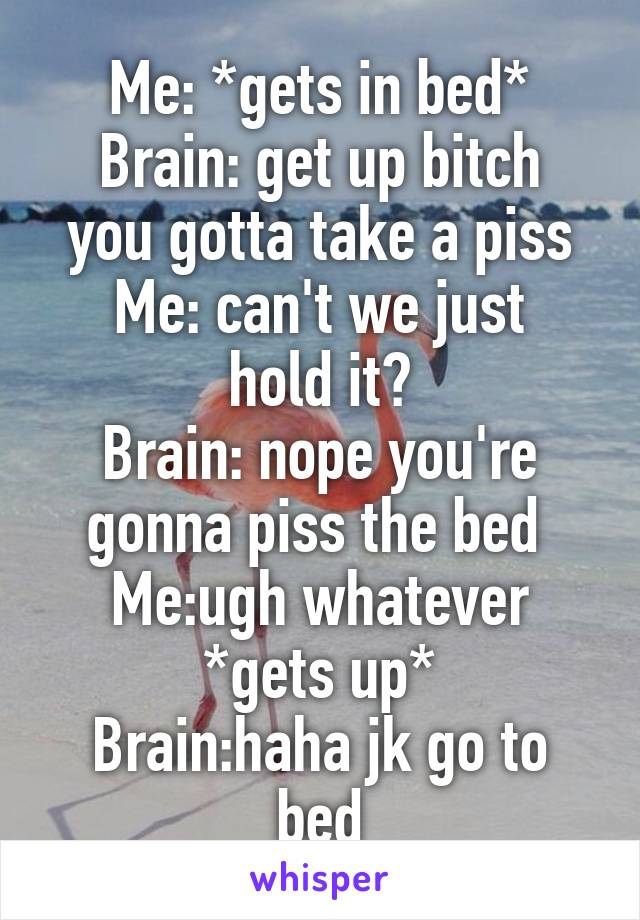 Me: *gets in bed*
Brain: get up bitch you gotta take a piss
Me: can't we just hold it?
Brain: nope you're gonna piss the bed 
Me:ugh whatever *gets up*
Brain:haha jk go to bed