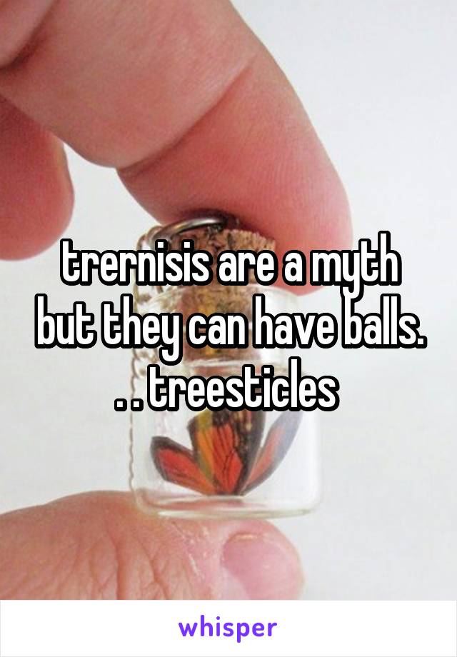 trernisis are a myth but they can have balls. . . treesticles 