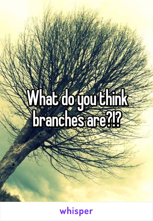 What do you think branches are?!?