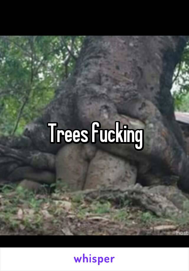 Trees fucking