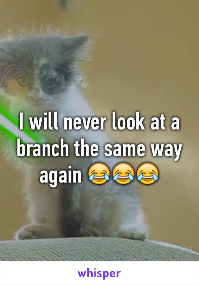 I will never look at a branch the same way again 😂😂😂