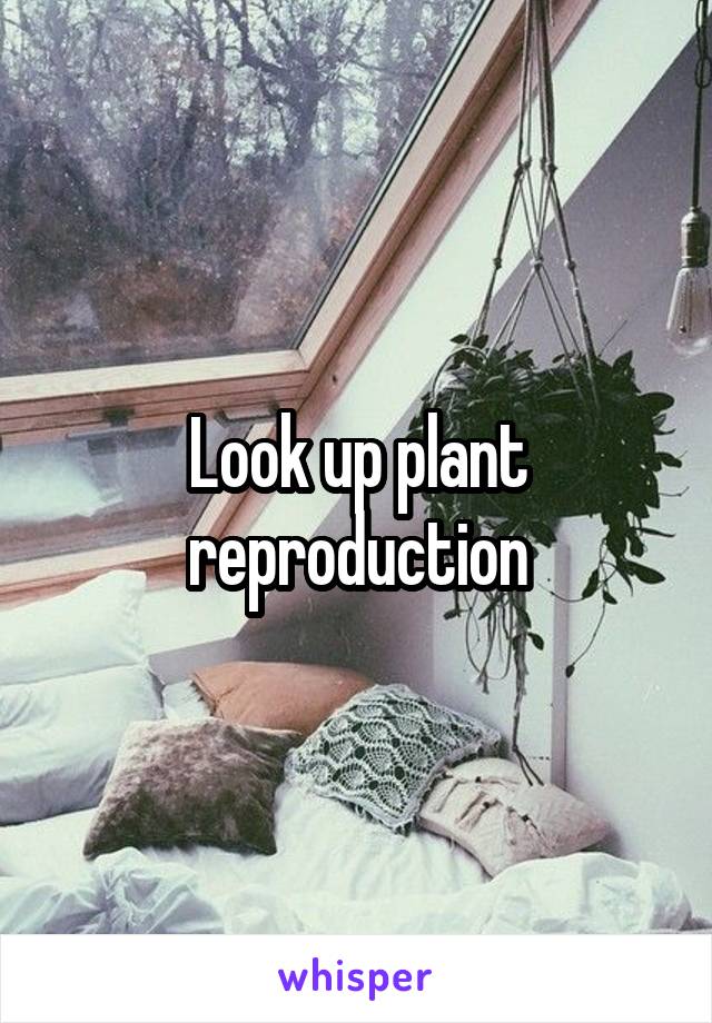 Look up plant reproduction