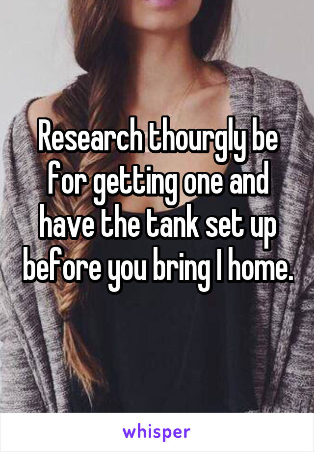 Research thourgly be for getting one and have the tank set up before you bring I home. 