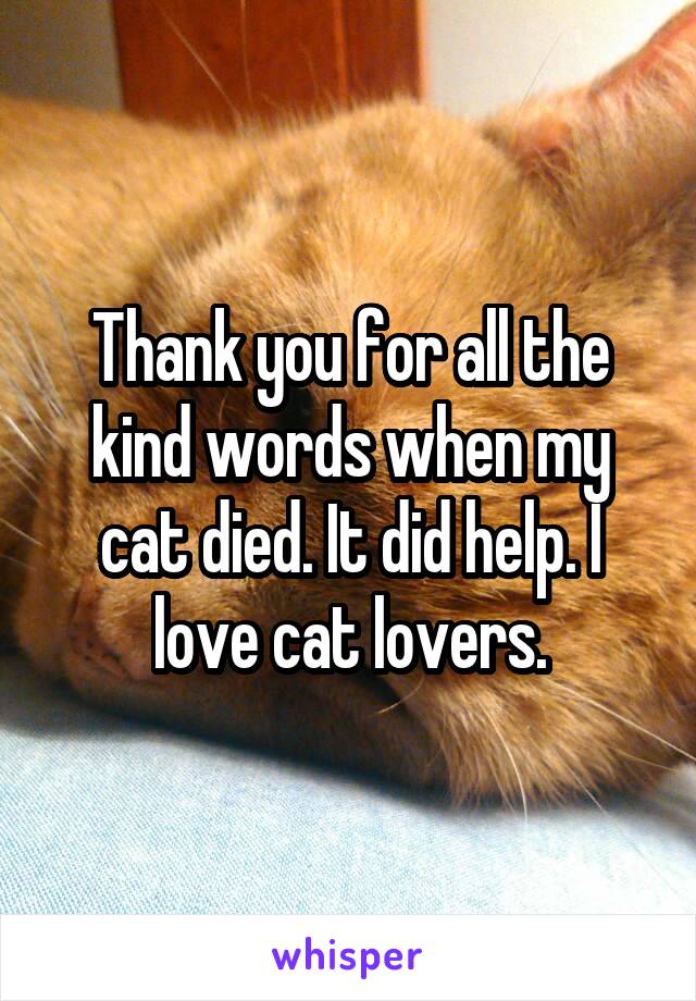 Thank you for all the kind words when my cat died. It did help. I love cat lovers.