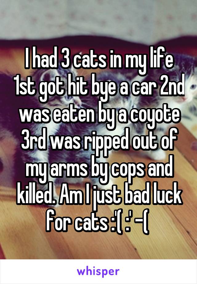 I had 3 cats in my life 1st got hit bye a car 2nd was eaten by a coyote 3rd was ripped out of my arms by cops and killed. Am I just bad luck for cats :'( :' -( 