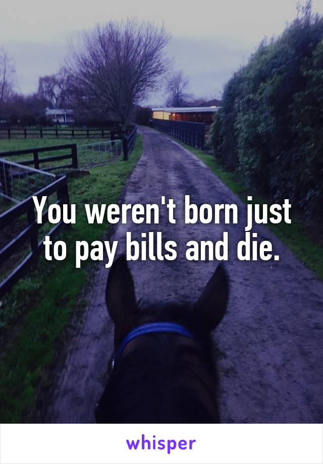 You weren't born just to pay bills and die.