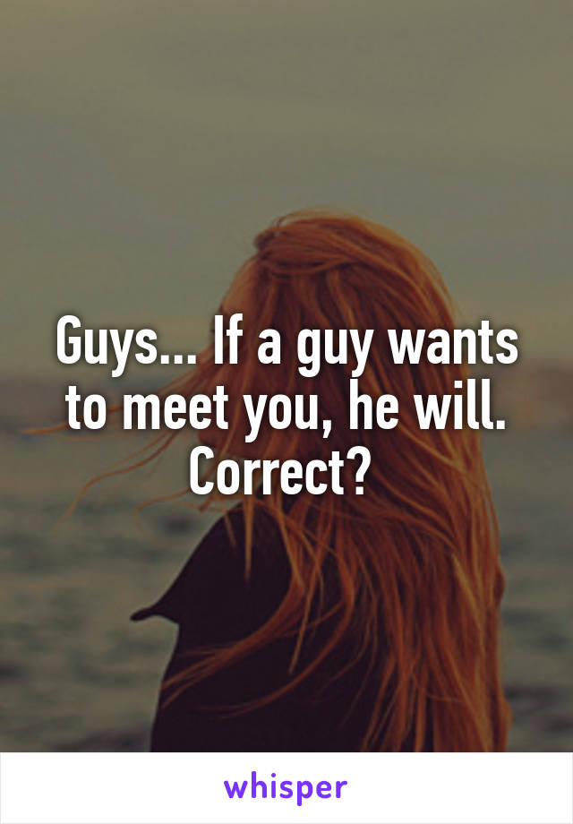 Guys... If a guy wants to meet you, he will. Correct? 