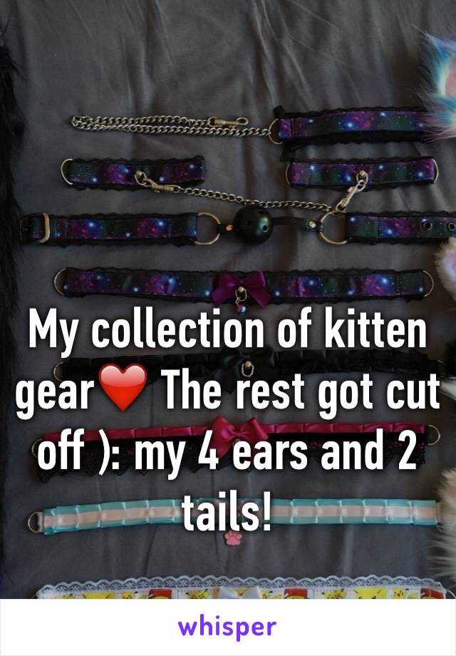 My collection of kitten gear❤️ The rest got cut off ): my 4 ears and 2 tails! 