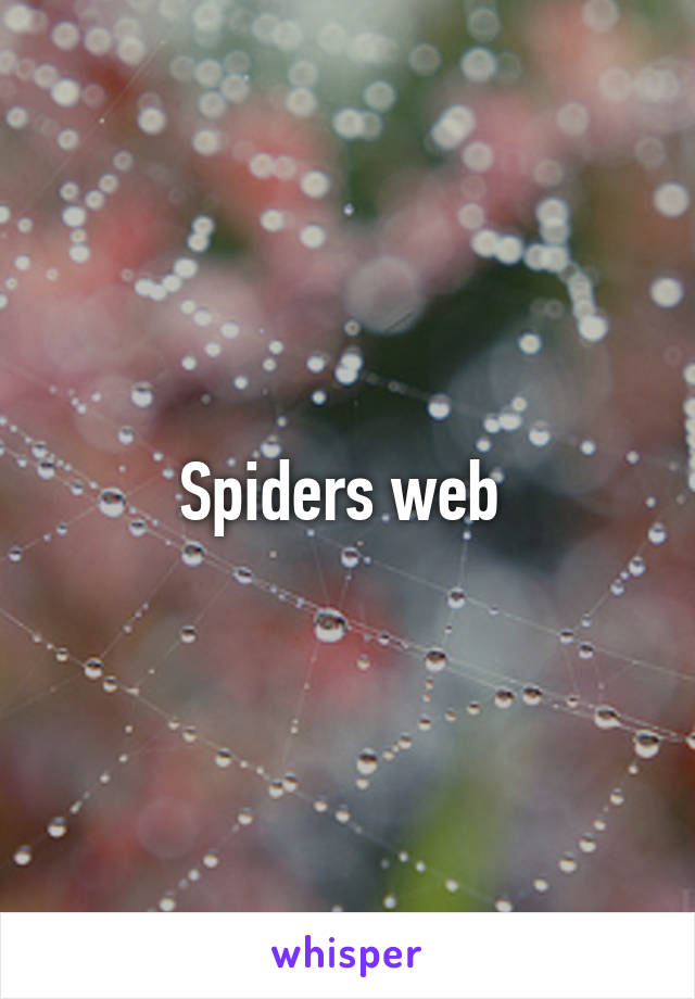 Spiders web 