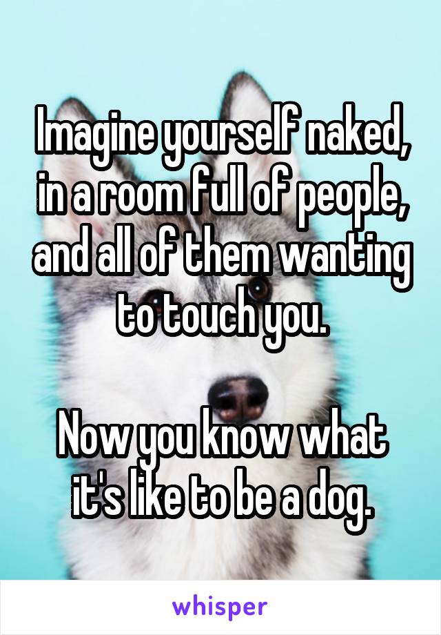 Imagine yourself naked, in a room full of people, and all of them wanting to touch you.

Now you know what it's like to be a dog.