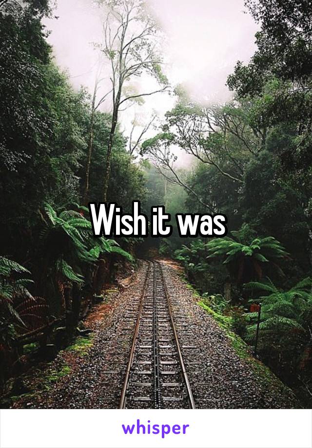 Wish it was