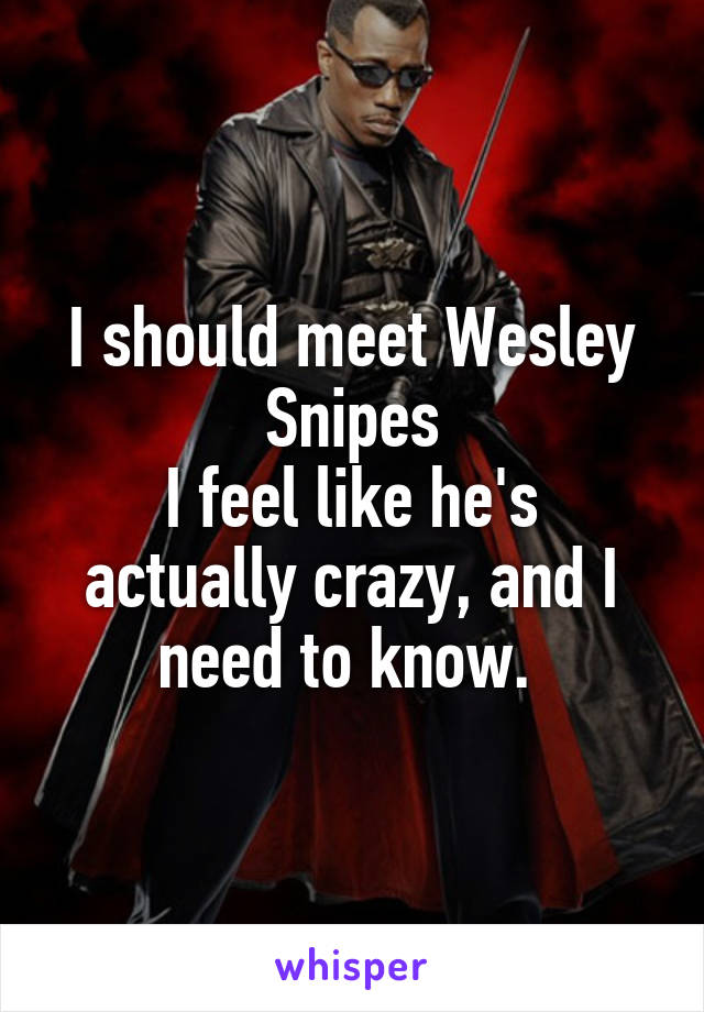 I should meet Wesley Snipes
I feel like he's actually crazy, and I need to know. 