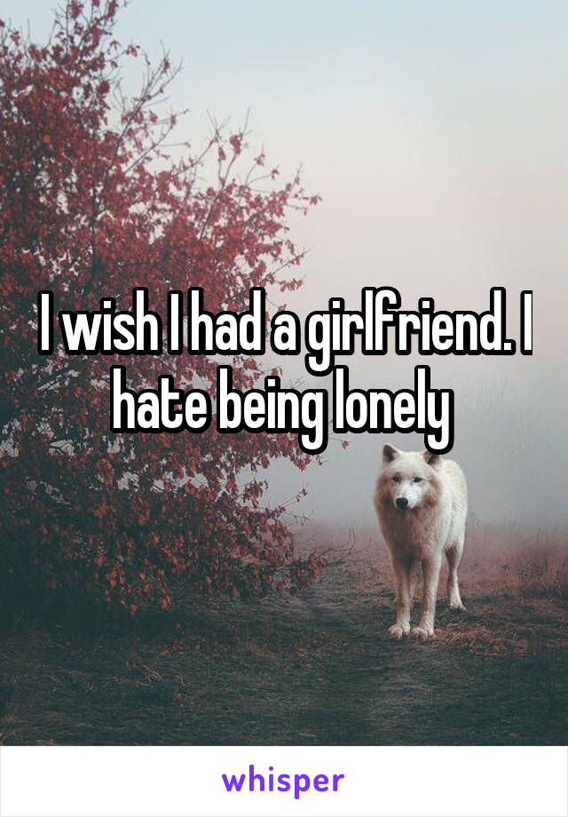 I wish I had a girlfriend. I hate being lonely 
