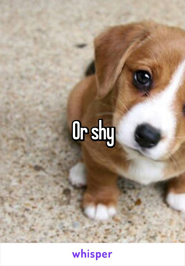Or shy