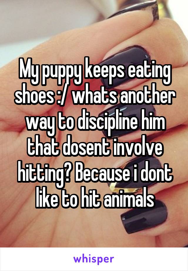 My puppy keeps eating shoes :/ whats another way to discipline him that dosent involve hitting? Because i dont like to hit animals