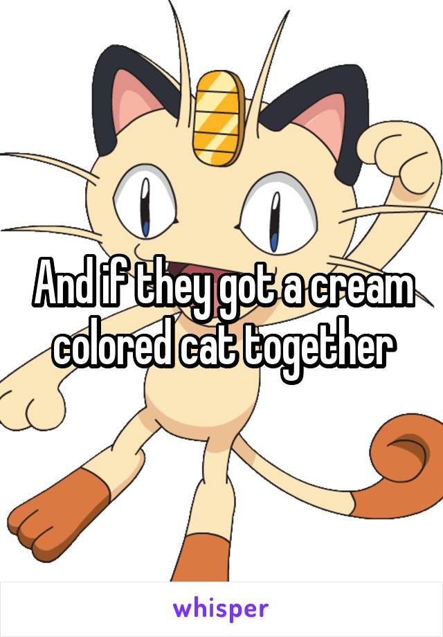 And if they got a cream colored cat together