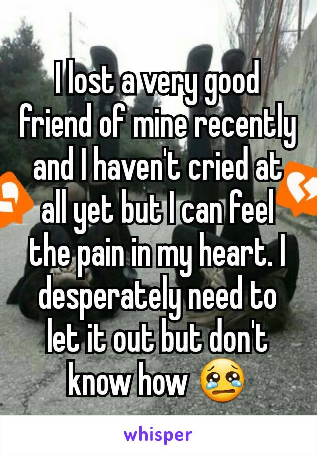 I lost a very good friend of mine recently and I haven't cried at all yet but I can feel the pain in my heart. I desperately need to let it out but don't know how 😢