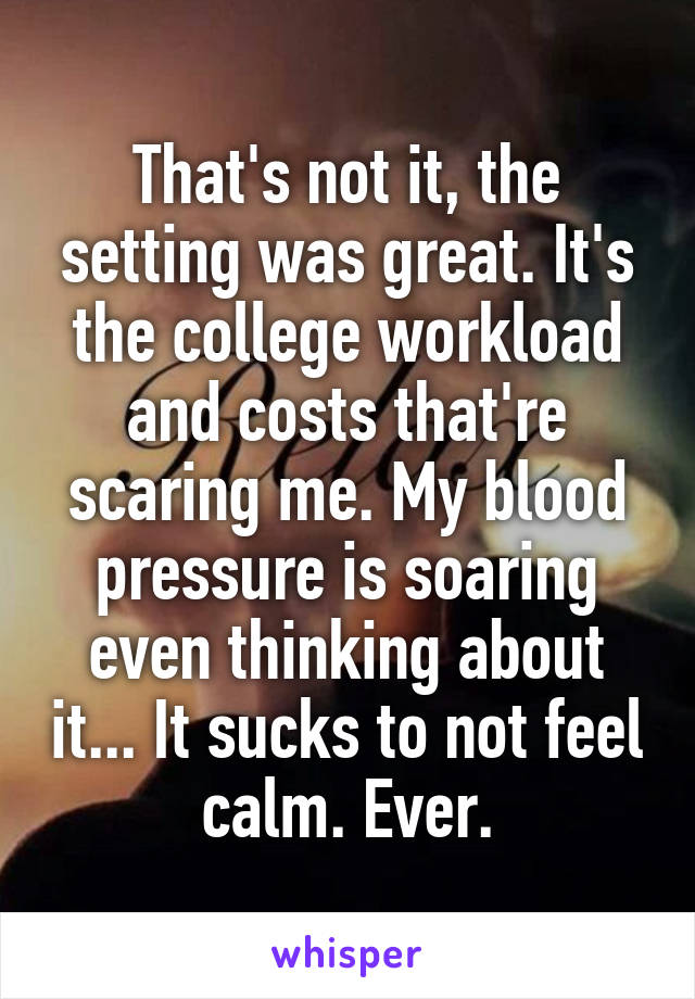 That's not it, the setting was great. It's the college workload and costs that're scaring me. My blood pressure is soaring even thinking about it... It sucks to not feel calm. Ever.