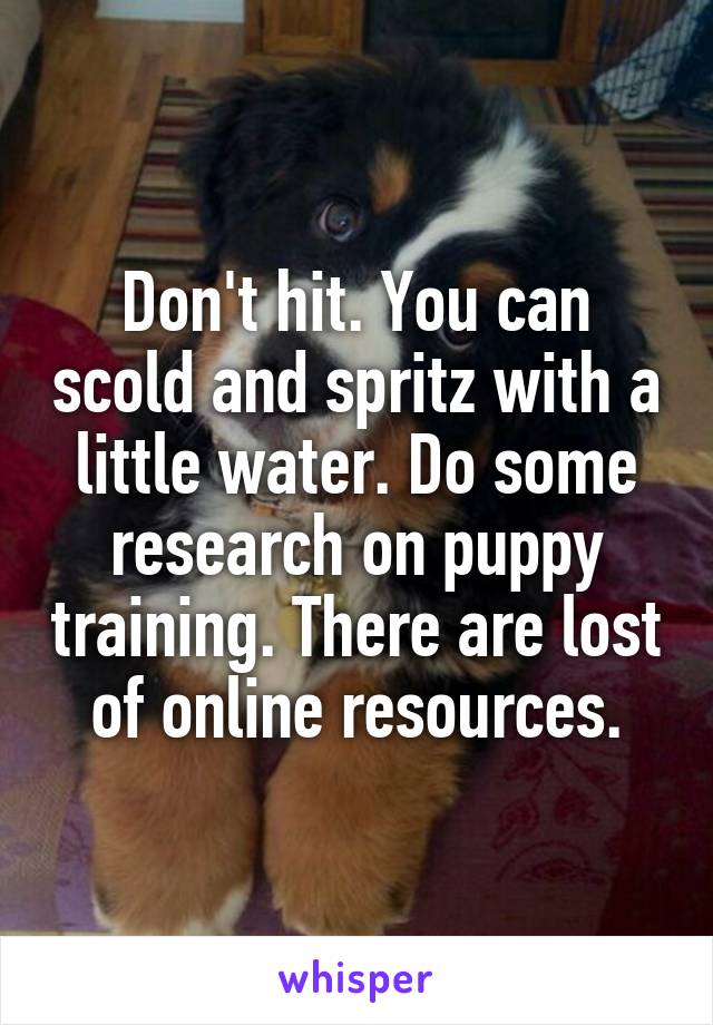 Don't hit. You can scold and spritz with a little water. Do some research on puppy training. There are lost of online resources.