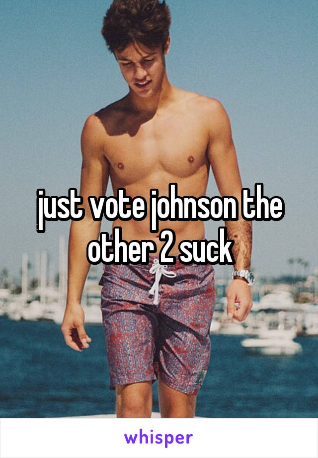 just vote johnson the other 2 suck