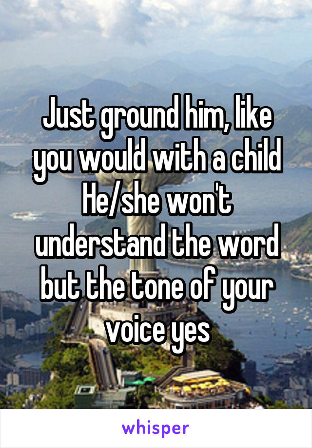 Just ground him, like you would with a child
He/she won't understand the word but the tone of your voice yes