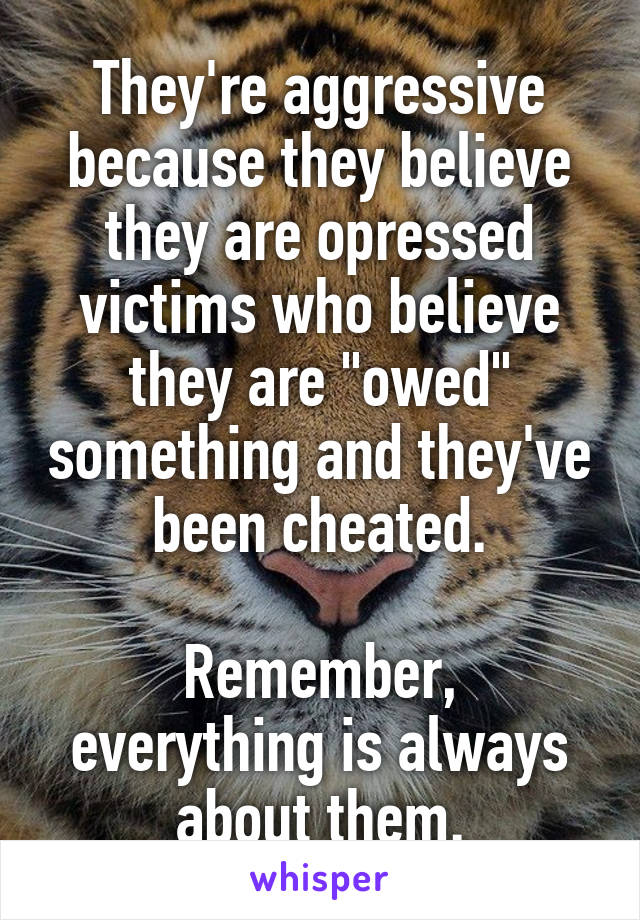 They're aggressive because they believe they are opressed victims who believe they are "owed" something and they've been cheated.

Remember, everything is always about them.