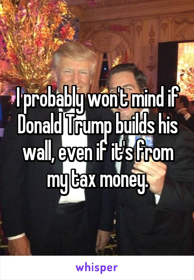 I probably won't mind if Donald Trump builds his wall, even if it's from my tax money.