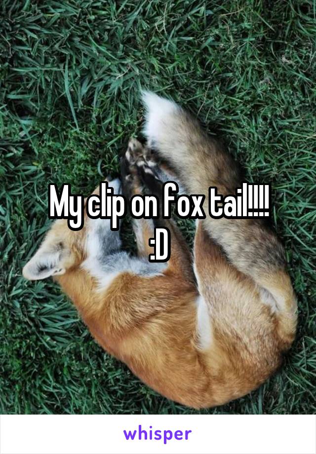 My clip on fox tail!!!!
:D