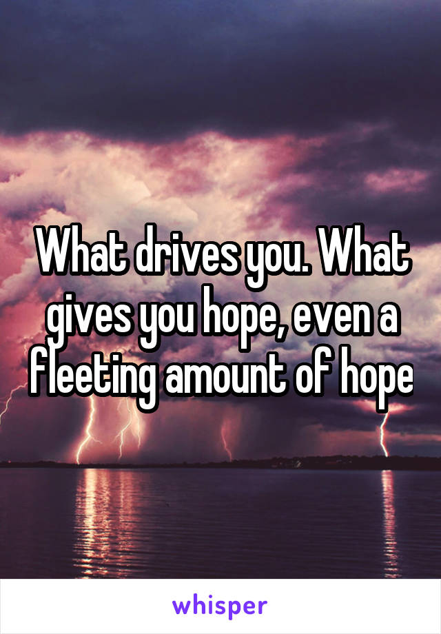 What drives you. What gives you hope, even a fleeting amount of hope