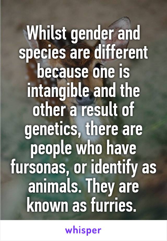 Whilst gender and species are different because one is intangible and the other a result of genetics, there are people who have fursonas, or identify as animals. They are known as furries. 