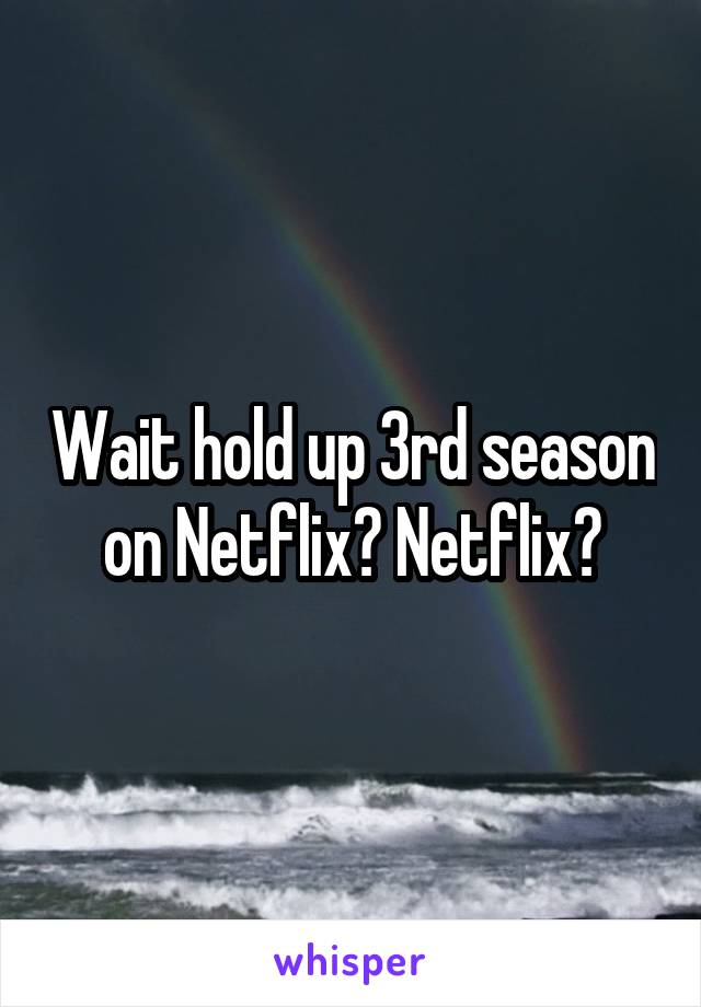 Wait hold up 3rd season on Netflix? Netflix?