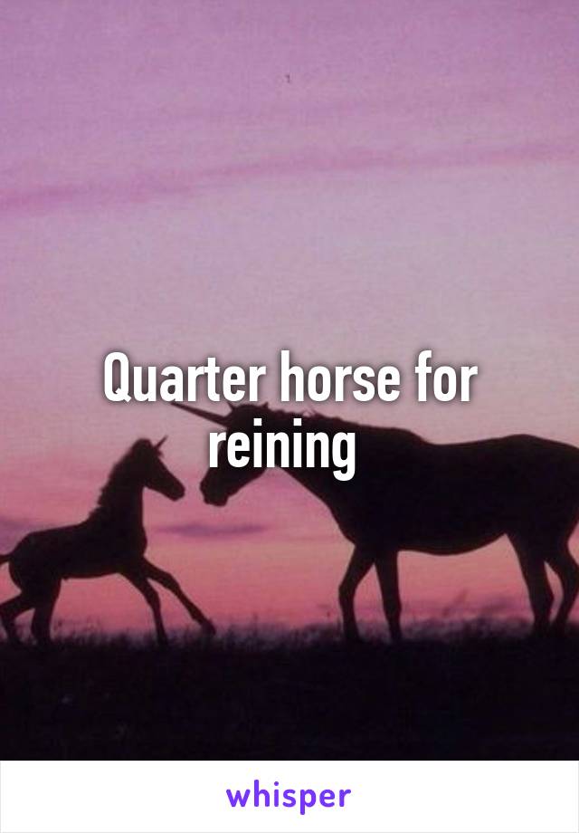 Quarter horse for reining 