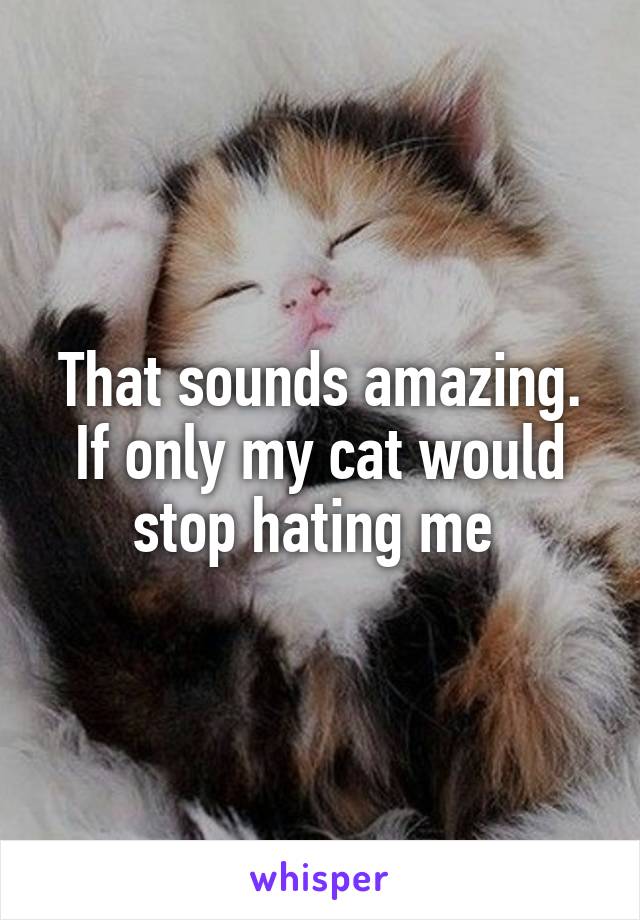 That sounds amazing. If only my cat would stop hating me 