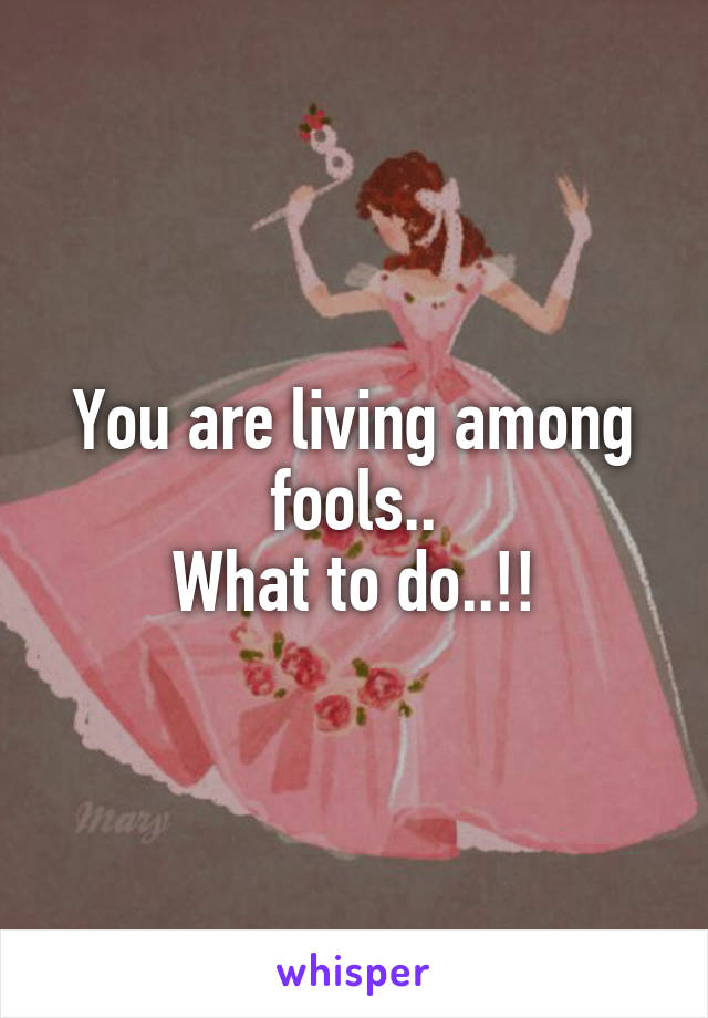 You are living among fools..
What to do..!!