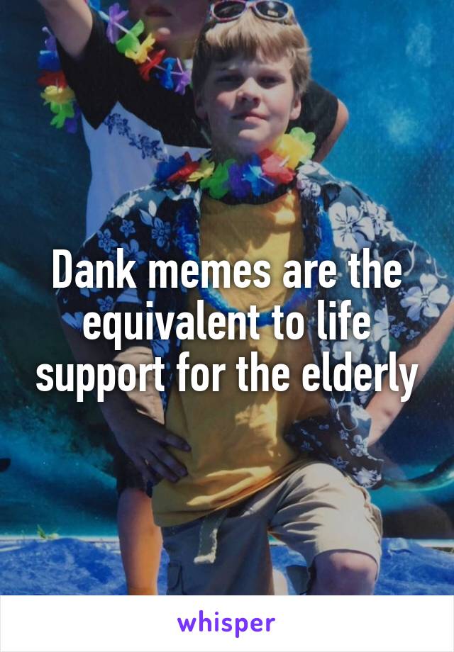 Dank memes are the equivalent to life support for the elderly
