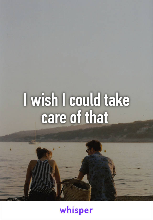 I wish I could take care of that 