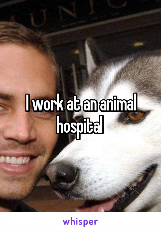 I work at an animal hospital 