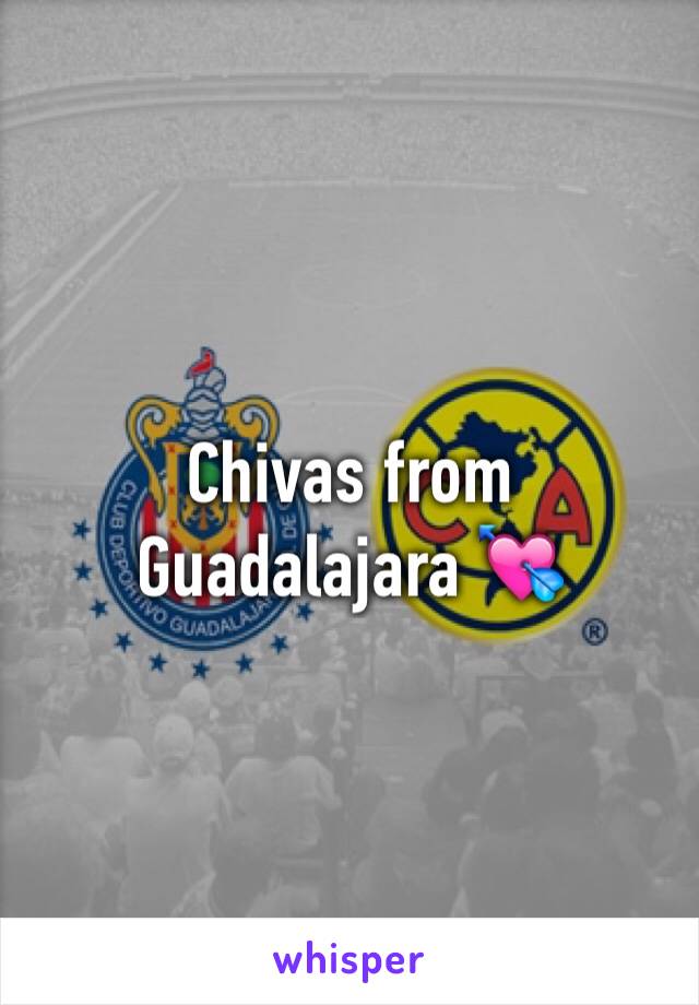Chivas from Guadalajara 💘