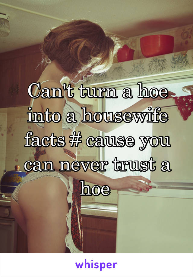 Can't turn a hoe into a housewife facts # cause you can never trust a hoe 