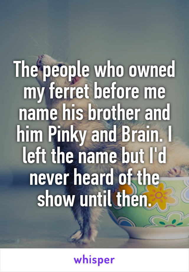 The people who owned my ferret before me name his brother and him Pinky and Brain. I left the name but I'd never heard of the show until then.